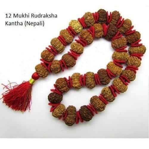 Picture of 12 Mukhi Rudraksha Mala Kantha